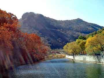 新澳门二四六天天彩，泛目录权重